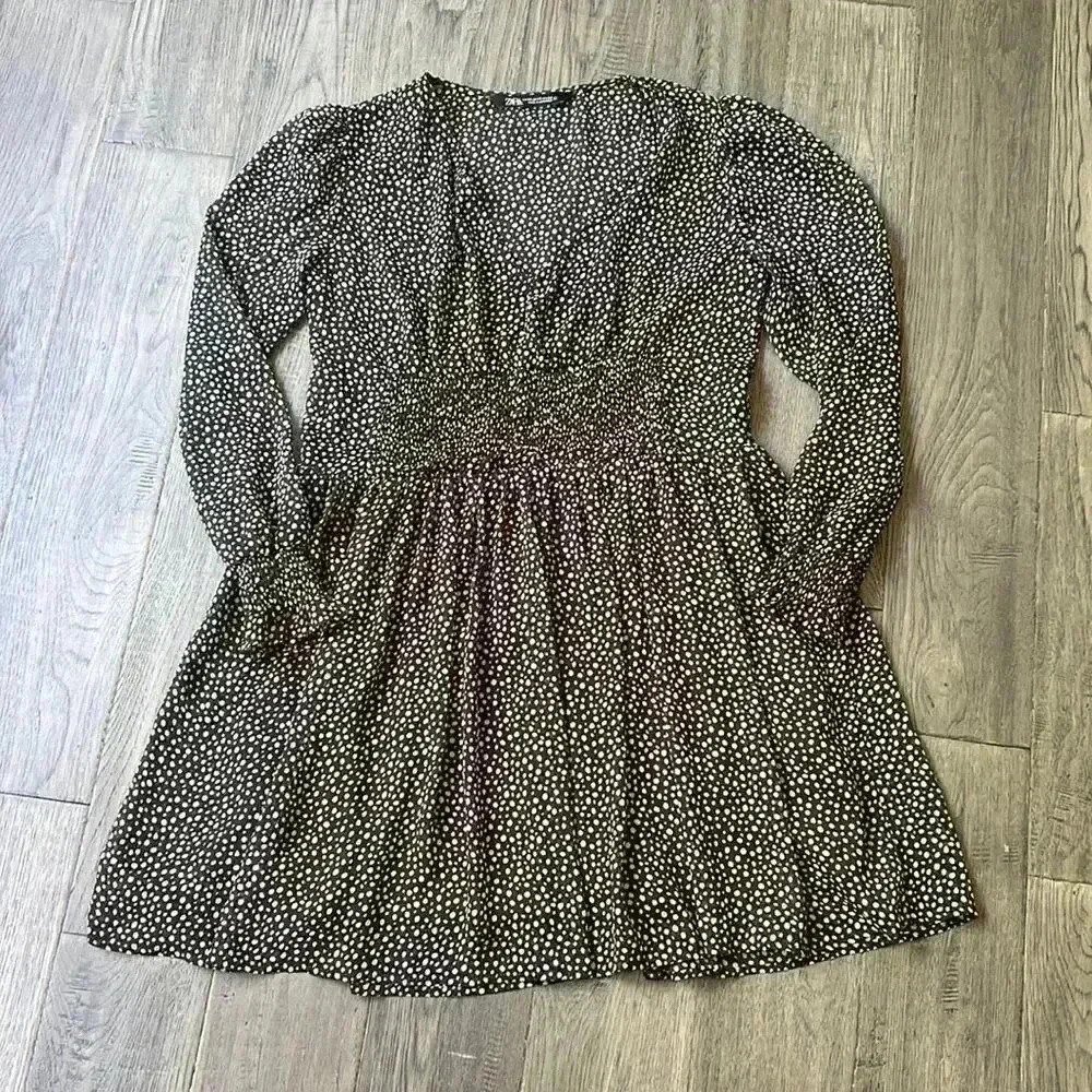 Zara  | Sheer polka dot long sleeve dress